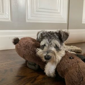 Meet your Posher, Ava